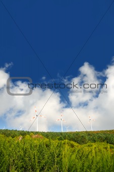 Eolic turbines - Paul de Serra, Madeira