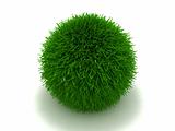 Green furry ball