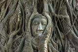 Buddha head Ancient stone carvings
