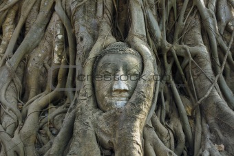 Buddha head Ancient stone carvings