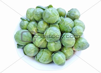 Brussels cabbage