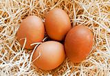 Four heg eggs