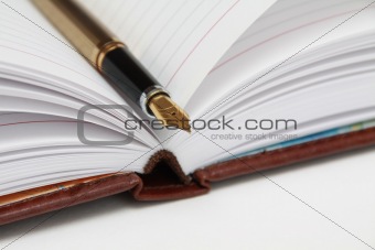  Golden Fountain Pen on Notebook
