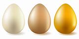 Three realistic eggs