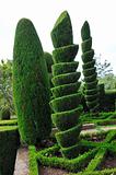 Decorative green park - Botanical garden Funchal, Madeira