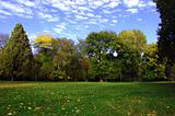 fall in the park with green trees under blue sky