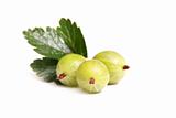 Gooseberry on a white background