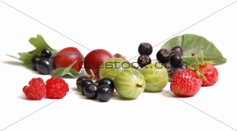 Summer fruit and berry