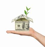 Hand and money house with green plant isolated on white backgrou