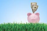 Piggy bank with dollars on green grass over blue 