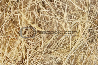 Detail of dry grass hay background