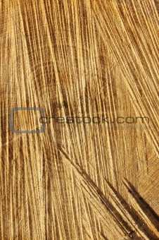 Detail of wooden cut texture - rings and saw cuts - oak - background