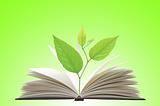 Book and plant over green background