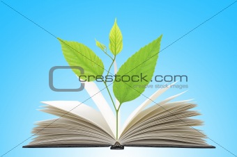 Book and plant over blue background