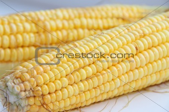 Cob of the ripe corn