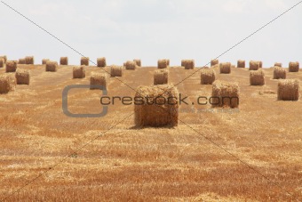 Wide open stubble field with straw