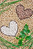 Lentils, soybeans, beans with herbs - pulse concept