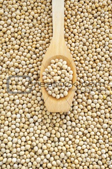Wooden spoon and dried soybeans