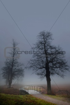 Trees and bridge in mist