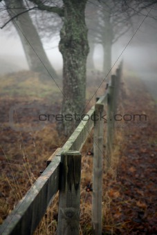 Fence in autumn