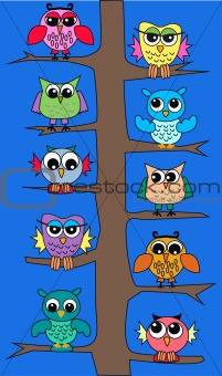 owls in a tree