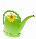 Vibrant Green Watering Can with Yellow Daisy