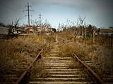 Abandoned railroad tracks