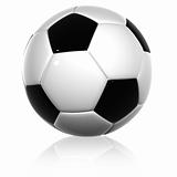 High resolution 3D soccer ball isolated