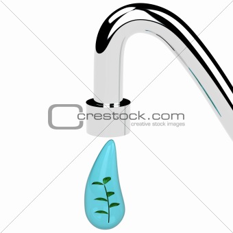 Green plant in a water drop