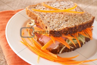 Tasty beef sandwich on wholewheat bread