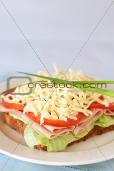 Tasty ham, tomato and cheese sandwich