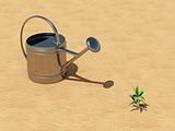 Seedling with watering can in the desert