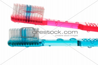 Wet toothbrushes