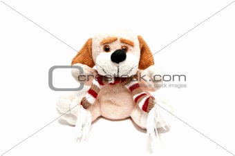 Soft toy in the form of a dog
