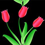 Elegance Seamless color tulips pattern 