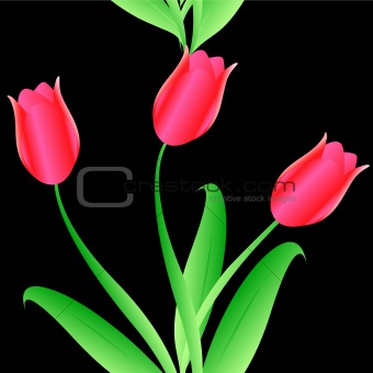 Elegance Seamless color tulips pattern 