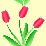 Elegance Seamless color tulips pattern