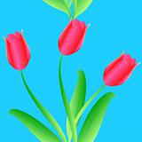 Elegance Seamless color tulips pattern