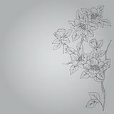 hand drawn background with a fantasy flower