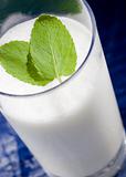 Hot Milk with mint leaves