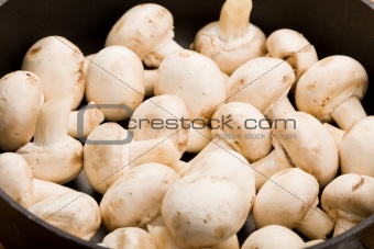 Mushrooms - Champignons