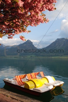 pedal boat on lake