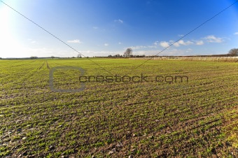 Landscape view of farmland