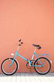 bike or bicycle