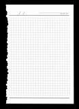 Torn notebook sheet