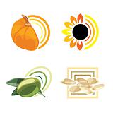 Sunflower, olive, pumpkin, sesame icons