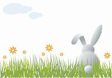bunny in grass, vector