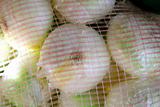onion view from sack net in market