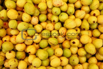 Buayaba o guayabilla fruit Psidium guajava Linnaeus
