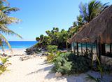 coconut palm trees palapa hut beach